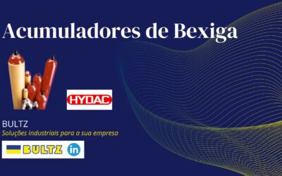 Acumuladores de Bexiga